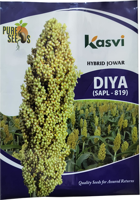products2_0003_Jowar2