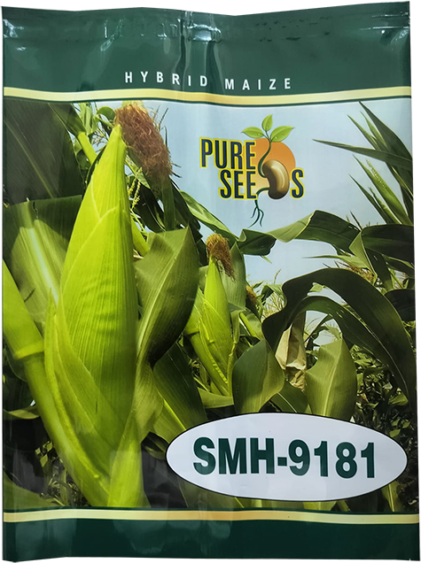 products2_0008_Maize7