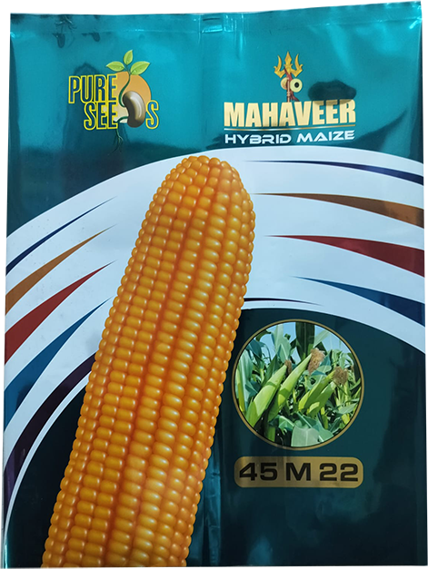 products2_0012_Maize3
