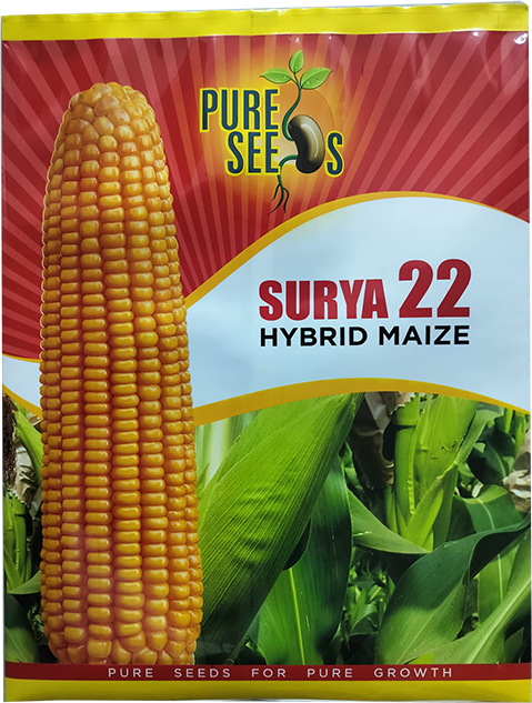 products2_0014_Maize