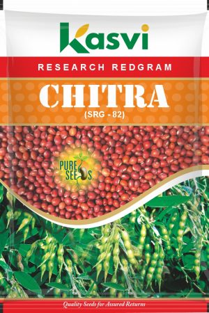 REDGRAM SRG-82 (CHITRA)
