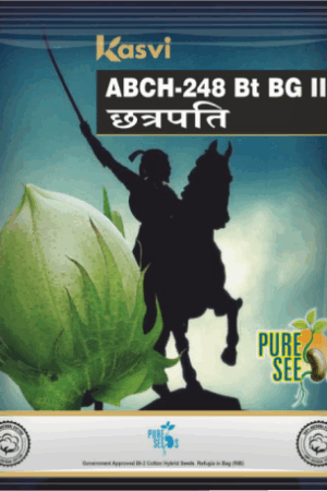 ABCH-248 Bt BGII (CHATRAPATHI)