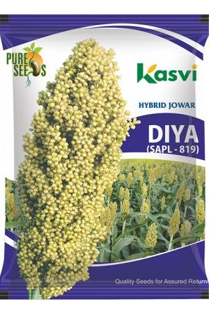SORGHUM HYBRID SAPL-819 ( DIYA )