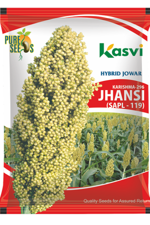 SORGHUM HYBRID SAPL-119 ( JHANSI )