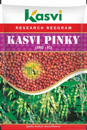REDGRAM KASVI PINKY