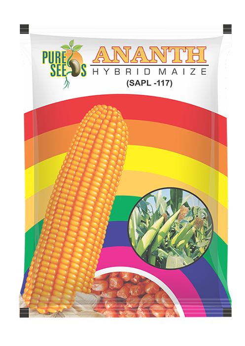 Maize Ananth