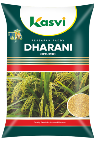 SPR 3132 ( DHARNI )