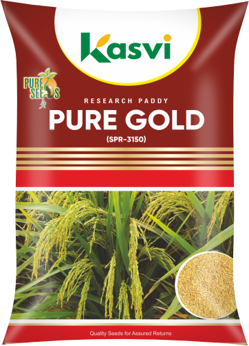 SPR 3150 (PURE GOLD)