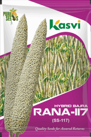 BAJRA HYBRID SS-117 ( RANA )