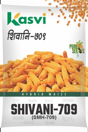 SHIVANI 709