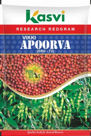 REDGRAM VIKI APOORVA