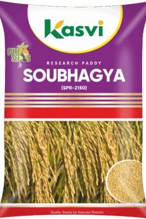 SPR 2151 (SOWBHAGYA)