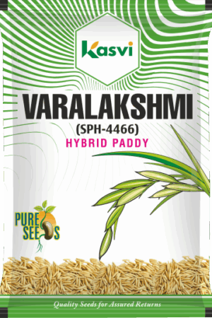 SPH-4466  ( VARALAXMI )