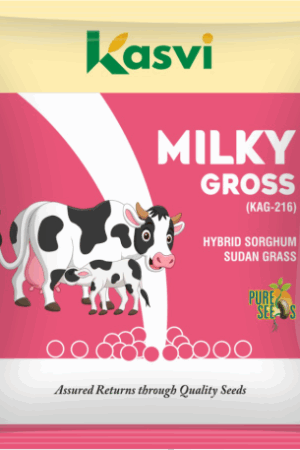 Milky Gross
