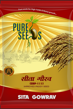 SPR111 (SITA GAURAV)